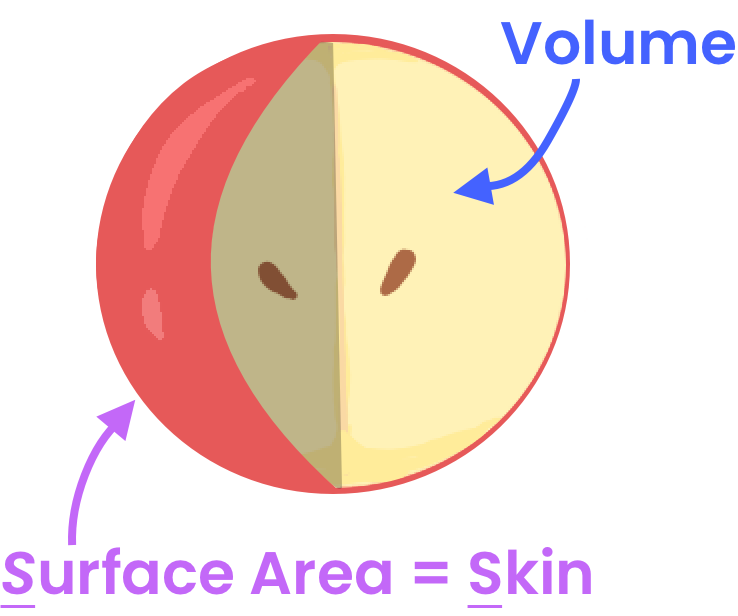 Volume and Surface Area of Spheres Almost Fun