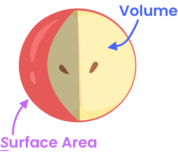 Image of Apple