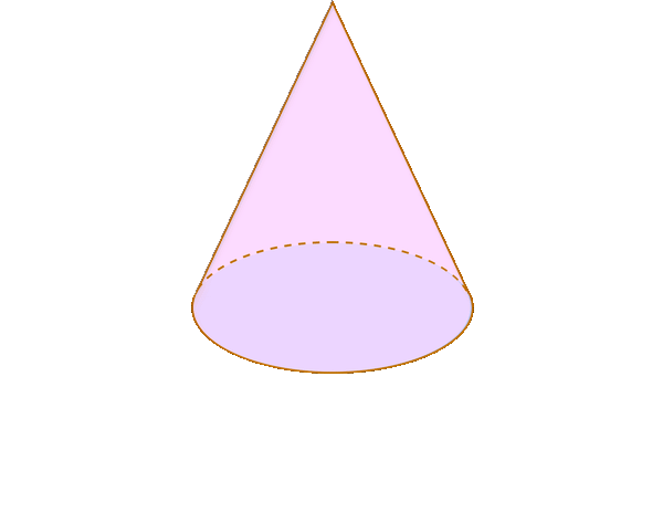 cone net